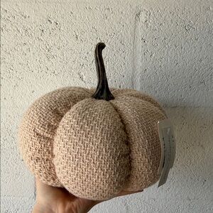 Cozy Tan Knit Pumpkin Decor